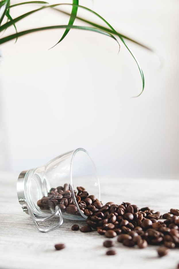Organic Coffee