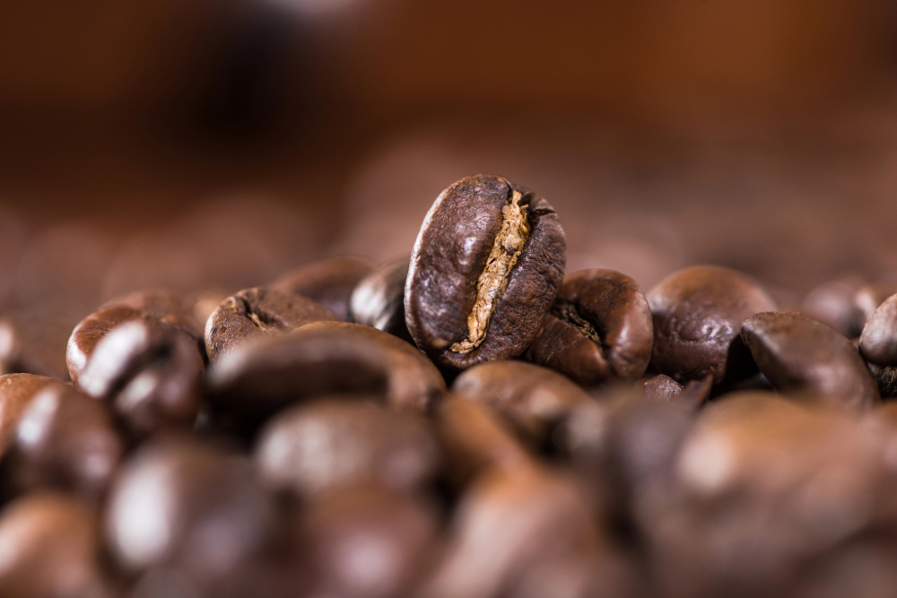 is fresh roasted coffee better or just a trend